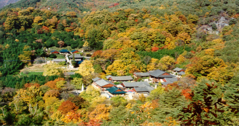 Autumn of Ssanggyesa Temple