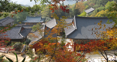Autumn of Ssanggyesa Temple