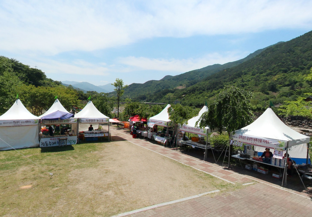Hadong Wild Tea Cultural Festival