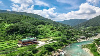 한국의 아름다운길 쌍계사 십리벚꽃길에접한 교통 좋고, 넓은 주차장공간에, 국내 환경관리 1위의 쌍계사계곡유일의 수영이 가능한 계곡에 인접한곳.
