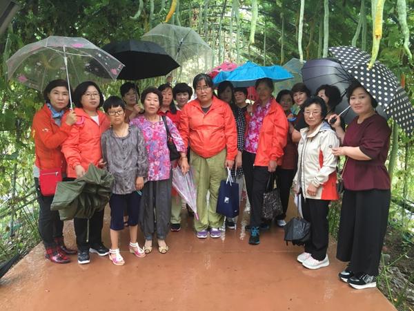 하동군지역사회보장협의체, 가족·자원봉사자와 코스모스·메밀꽃축제 체험