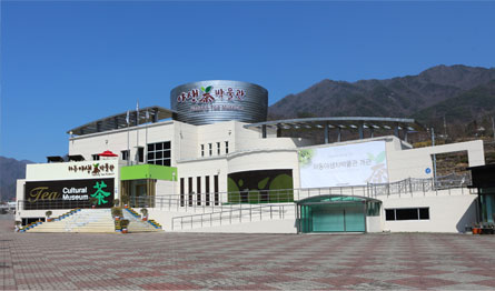 野生茶博物馆 1
