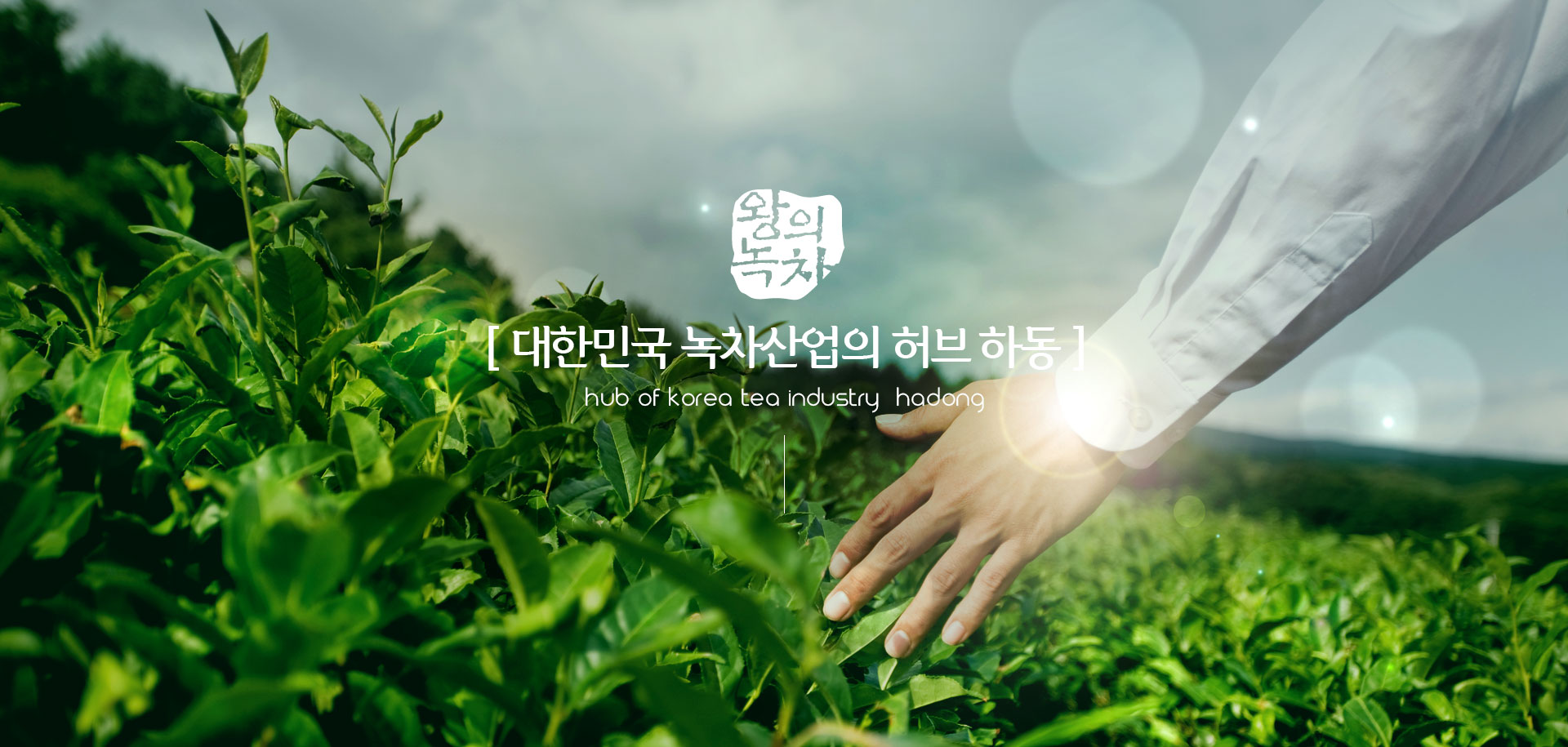 왕의녹차. [ 대한민국 녹차산업의 허브 하동 ] Hub of korea tea industry, hadong