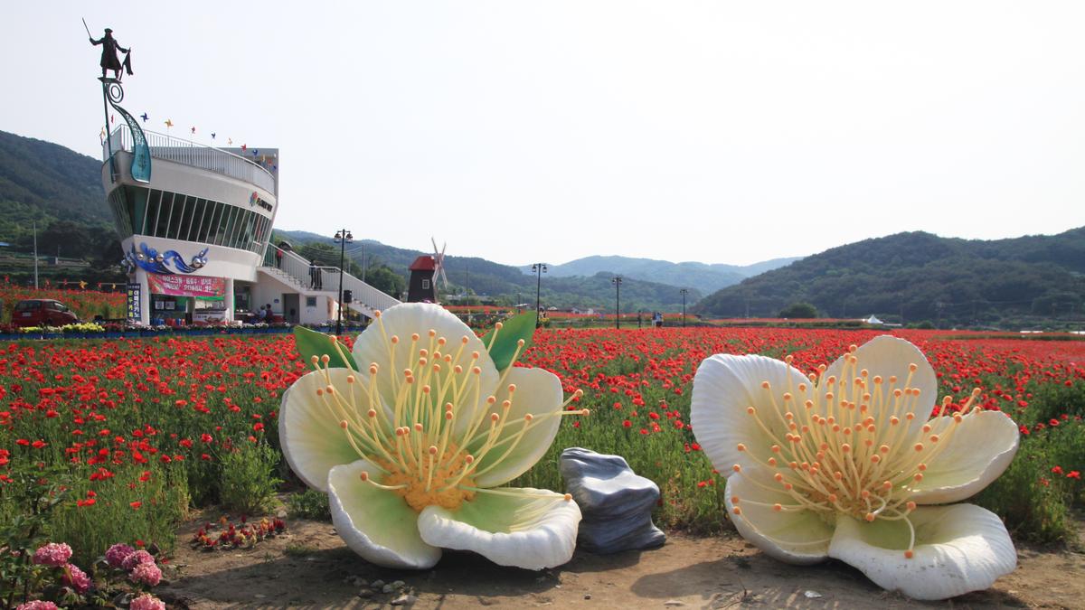 Hadong Bukcheon Poppy Flower Festival
