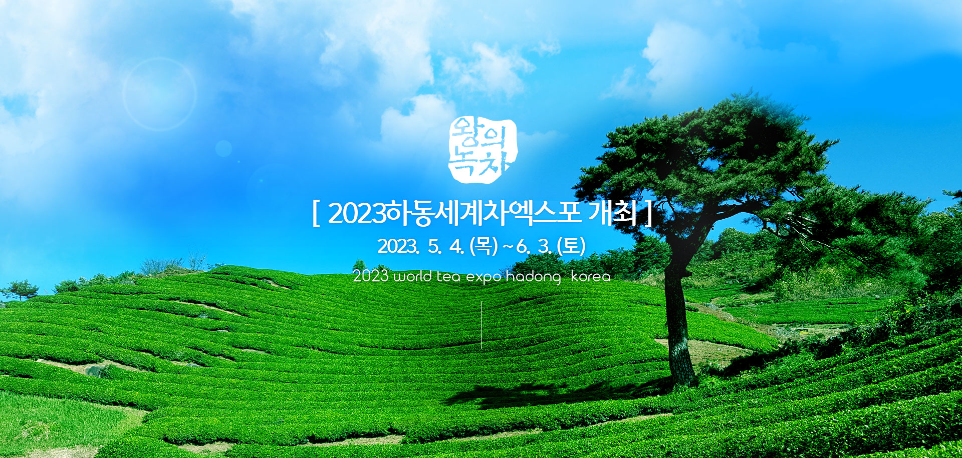 왕의녹차. [ 2023하동세계차엑스포 개최 ] 2023.5.4.목, 6.3.(토)2023 worldo tea expo hadong korea
